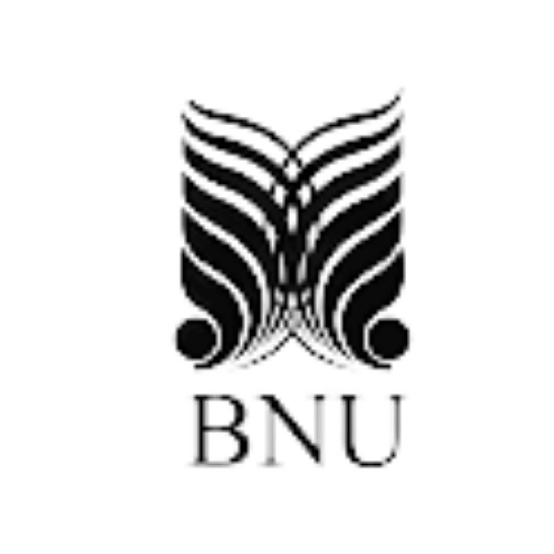 Beaconhouse National University logo